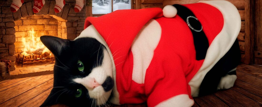 🎄Ya no se hizo nada: la canción perfecta para cerrar el año bailando